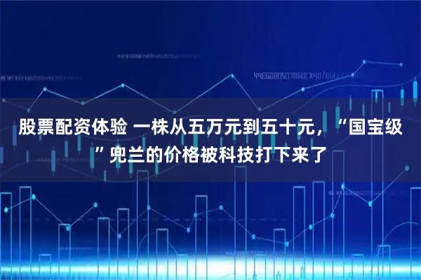 股票配资体验 一株从五万元到五十元，“国宝级”兜兰的价格被科技打下来了