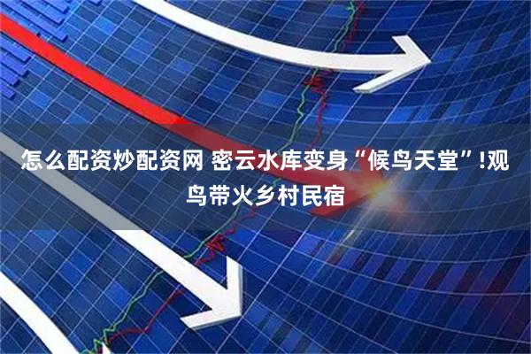 怎么配资炒配资网 密云水库变身“候鸟天堂”!观鸟带火乡村民宿