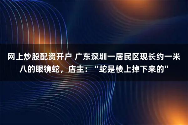 网上炒股配资开户 广东深圳一居民区现长约一米八的眼镜蛇,店主:“蛇是楼上掉下来的”